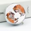 Small Pill Case Hesitant Bulldog 3 Compartments Portable Pill Container view 4