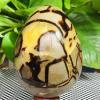 USUFKCXDG 1pc 800-850g Turtle Back Stone Egg Shape Dragon Crystal Crack view 2