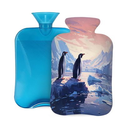 Hot Water Bottle with Cover, 2L Hot Water Bag for Pain Relief Hand Feet Warmer(Glacier Penguin)