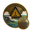 1 Year Waves Sobriety Coin - Third Step Prayer AA Medallion, Premium Recovery Token for Anniversaries, Sponsor & Sponsee Gifts, One Year Sober Milestone Chip for Women and Men view 1