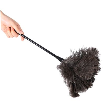 COOLHIYA 2pcs Dust Removal Brushes Lightweight Plastic Handle Cleaning Tools for High Places Natural Plumes for Kitchen Car Office Dusting