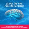 GRINDS Focus Pouches - Naturally Flavored with Nootropic Ingredients - Contains Alpha GPC and L-Theanine, Sugar-Free - 3 Pack, 18 Pouches Per Can - Blue Raspberry view 3