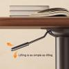 PAKMEZ Height Adjustable Over Bed Desk, Side Computer Workstation, Steel Frame, Small Portable Laptop Cart, for Study Living Room, Used as Dining Table(Black) view 2