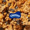 Natures Garden Blueberry Muffin Clusters, 32oz Pouch Big Chunky Nut & Oat Bites with Cashews, Almonds, Chia & Real Blueberries Gluten-Free and Kosher Snacks for Adults & Kids view 3