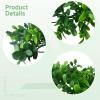 byepica 8 Pcs Boxwood Wreaths for Tables, 9.8 in Candle Rings, Greenery for Spring & Christmas view 2