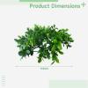 byepica 8 Pcs Boxwood Wreaths for Tables, 9.8 in Candle Rings, Greenery for Spring & Christmas view 4