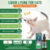 L-Lysine for Cats, Cat Lysine Supplement for Immune Support, Feline Respiratory, Sneezing, Runny Nose, Eye Function, Natural Strengthen Defenses, Chicken Flavor 60 ML view 2