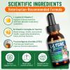 L-Lysine for Cats, Cat Lysine Supplement for Immune Support, Feline Respiratory, Sneezing, Runny Nose, Eye Function, Natural Strengthen Defenses, Chicken Flavor 60 ML view 4