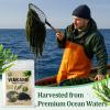 3.53oz Dried Wakame Seaweed Natural Sea Vegetable for Miso Soup, Seaweed Salad, Ramen & Stir-Fry, Gluten Free view 3