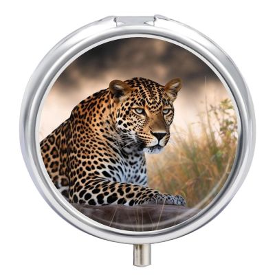 African Animal Leopard Metal Pill Organizer, 3 Compartment Waterproof Pill Case with Mirror for Purse Pocket Bag, Daily Medicine Vitamin Holder, Portable Travel Med Container(Round)