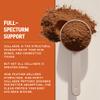 Iron Feather Collagen Powder | Chocolate | Multi-Collagen Protein with Vitamin C | Supports Joints, Tendons, Recovery, Skin, Hair and Nails | 10g Protein per Scoop | Clean and Functional Nutrition view 4