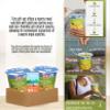 2x Vegetarian Soup Dr Mcdougalls Soup Bgcup Split Pea Barley 2.5 oz Bundle with Spoon Corn Starch Hearty Split Pea and Barley Cup Gift Set (3 Items) view 2