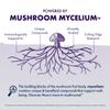 Host Defense MycoBotanicals Brain Capsules, 120 ct (Pack of Two 60 ct Units) view 4