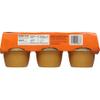 Indian Summer Single Serve Peach Apple Sauce, Individually Packed Applesauces, 6 Single Cups, 4 Ounces Each (Peach) view 2