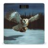 Flying Owl Weight Scale,Accurate Digital Weighing Machine,Bathroom Scales with Large LCD Display and Slim Tempered Glass Digital view 1