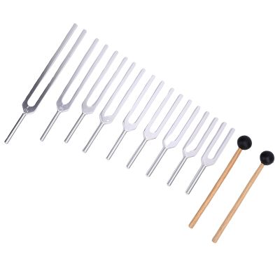 Matybobe Aluminum Alloy Sensory Tuning Fork Set for Healing 9 Pcs 174HZ 285 396 417 528 639 741 852 963HZ Frequencies Meditation Massage Silver Wood
