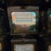 Dried Elderberries, 1 oz, Thee Olde Apothecary view 1