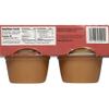 Indian Summer Single Serve Cinnamon Apple Sauce, Individually Packed Applesauces, 4 Single Cups, 4 Ounces Each (Cinnamon) view 2