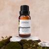 Zynda Chamomile Essential Oil for Skin & Relaxation Organic Chamomile Oil for Face, Hair & Diffuser, Pure & Natural Essential Oils, Gentle Aromatherapy Oils for Calm Mood & Peaceful Ambiance - 10ML view 2
