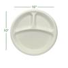 100% Compostable, 3 Compartment, Disposable Paper Plates [100-Pack] [10 Inch] Heavy Duty Biodegradable White Sectional Lunch Trays + Dividers - Divided Platte Tray view 2