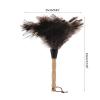 Natural Ostrich Feather Duster with Wooden Handle - 32cm Handheld Dust Brush for Furniture & Delicate Surfaces view 2