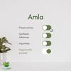 Hasyadeep Amla Powder| Phyllanthus emblica | Emblica officinalis | Traditional Ayurvedic Herb (100gm/3.52oz) view 4