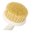 Mikinona 2pcs Small Dish Scrub Brush with Sustainable Handle and Non-Scratch Sisal Bristles Multi-Functional Pot and Bowl Cleaner for Kitchen Bathroom and Restaurant Use view 3