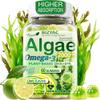 Algae Gummies, Omega 3 Gummies 2200mg from Algae Oil | DHA 640mg & EPA 290mg| Vegan | for Women & Men | CoQ10 | Astaxanthin | Vitamin A, E, D3 for Brain, Eye, Antioxidant, Sugar Free, 1Pack view 1