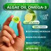 Algae Gummies, Omega 3 Gummies 2200mg from Algae Oil | DHA 640mg & EPA 290mg| Vegan | for Women & Men | CoQ10 | Astaxanthin | Vitamin A, E, D3 for Brain, Eye, Antioxidant, Sugar Free, 1Pack view 3