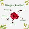 Hasyadeep Rose Petals Powder | Rosa damascena | Traditional Ayurvedic Herb (500gm) (100gm/3.52oz) view 2