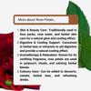 Hasyadeep Rose Petals Powder | Rosa damascena | Traditional Ayurvedic Herb (500gm) (100gm/3.52oz) view 3