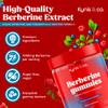 Kynis & co. Berberine Gummies with Ceylon Cinnamon and Apple Cider Vinegar - Sugar Free - Blueberry and Raspberry Flavor - 60ct - Supports metabolic and Digestive Health view 3