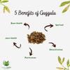 Hasyadeep Guggulu Gum Resin | Commiphora wightii | Traditional Ayurvedic Herb (50gm/1.76oz) view 2