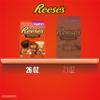 REESE'S Miniatures Assorted Flavored Peanut Butter Cups, Candy Party Pack, 26.6 oz view 4