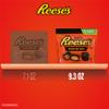 REESE'S Miniatures Dark Chocolate Peanut Butter Cups, Candy Share Pack, 9.3 oz view 4
