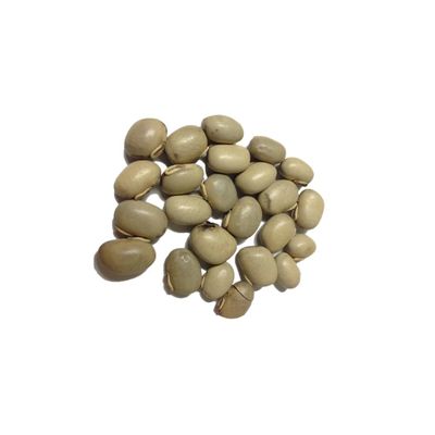 Hasyadeep Kapikacchu Seed | Mucuna | Mucuna pruriens | Lawsonia inermis | Traditional Ayurvedic Herb (900gm/31.75)