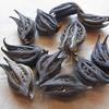 EcoVista Devil's Claw 4oz Premium Dried view 4