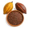 1 kg de Cacao Tostado sin Cscara/Origen Oaxaca/Grano Natural Listo para Moler/Perfecto para Chocolate Artesanal y Cocina Tradicional view 1