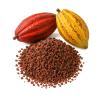 1 kg de Cacao Tostado sin Cscara/Origen Oaxaca/Grano Natural Listo para Moler/Perfecto para Chocolate Artesanal y Cocina Tradicional view 4