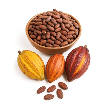 3 kg de Cacao Crudo con Cscara/Producto Oaxaqueo Artesanal/Grano Natural para Bebidas y Repostera