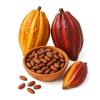 1 kg de Cacao Crudo con Cscara/Producto Oaxaqueo Artesanal/Grano Natural para Bebidas y Repostera view 1
