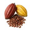 1 kg de Cacao Crudo con Cscara/Producto Oaxaqueo Artesanal/Grano Natural para Bebidas y Repostera view 2