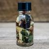 Four Winds Shield Oil by Petal & Salt Protective Herbal Blend for Energy Clearing, Home Protection, Spiritual Boundaries, Aura Shielding & Safe Spaces view 3