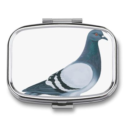 Pigeon Pill Box,Portable Button Design Metal Medicine Box Partition Layer Moisture Proof Pill Organizer Case for Travel Daily Use