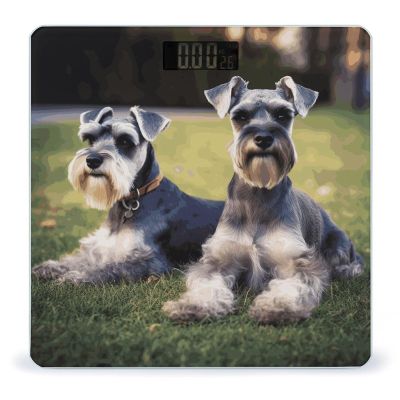 Adult Schnauzer Dogs Weight Scale Digital Electronic Scales Bathroom Scale, Larg LCD Backlight Display, High Precision Measurements,Tempered Glass