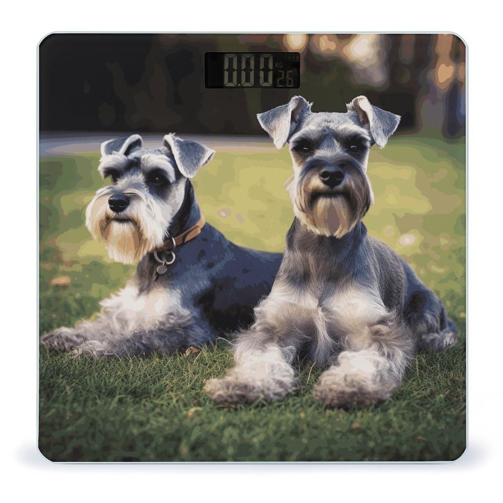 Adult Schnauzer Dogs Weight Scale Digital Electronic Scales Bathroom Scale, Larg LCD Backlight Display, High Precision Measurements,Tempered Glass