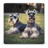 Adult Schnauzer Dogs Weight Scale Digital Electronic Scales Bathroom Scale, Larg LCD Backlight Display, High Precision Measurements,Tempered Glass view 1