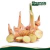100% Pure Galangal Root Powder (Alpinia Galanga), Authentic Thai Culinary Spice, Aromatic Flavor for Soups and Curries (1kg) view 4