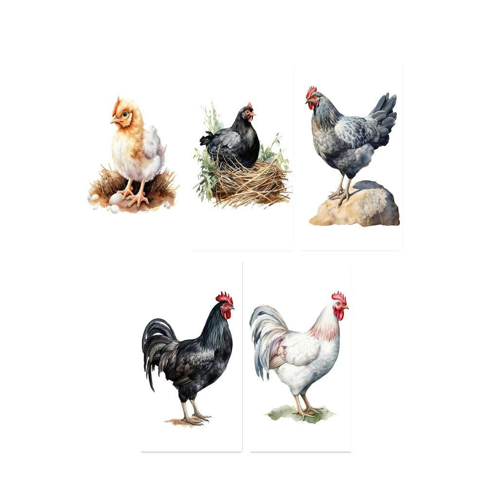 10 All Occasion Blank Note Cards with Envelopes Handmade Notecards 4x6 Folded Farm Chickens
