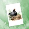 10 All Occasion Blank Note Cards with Envelopes Handmade Notecards 4x6 Folded Farm Chickens view 2